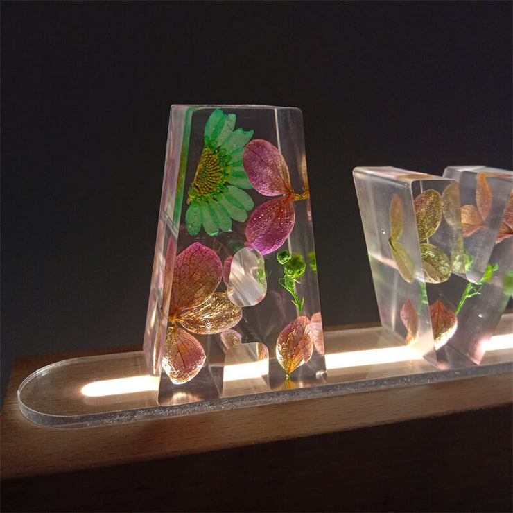 Colorful Hydrangea | Eternal Flower Nightlight with Doll | Christmas Gifts