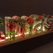 【Christmas Limited】Red Delphinium Green Grass | Christmas Limit | Eternal Flower Night Light