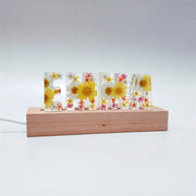 Summer - White & Yellow Daisies | Wooden Base | Dried Flower Letters Night Light