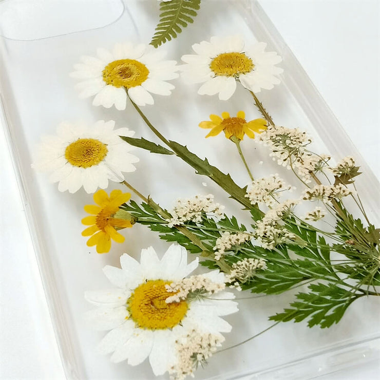 White Daisies | Clear, Bumper, Border Phone Case | Apple Samsung Google