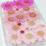 Gradient Pink Daisies | Clear, Bumper, Border Phone Case | Apple Samsung Google