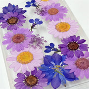 Purple Series Daisies | Clear, Bumper, Border Phone Case | Apple Samsung Google