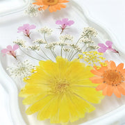 Yellow Orange Calendula Daisy | Waves Case | Bumper Border Case | iPhone 14/13/12 Phone Case