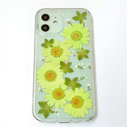 Green Daisies | with Camera Lens Protection