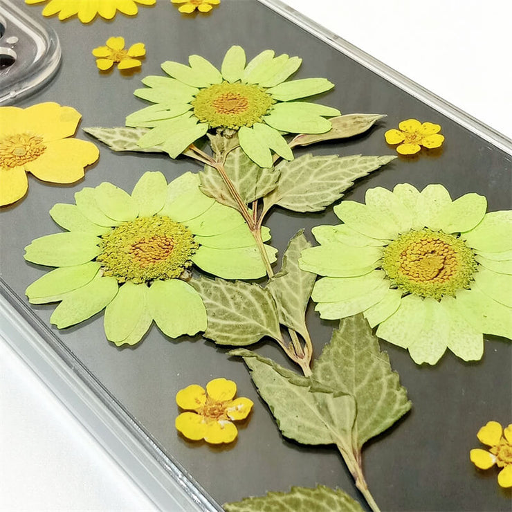 Green & Yellow Daisies | with Camera Lens Protection